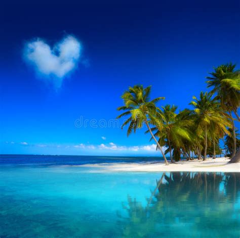 Art Beautiful Tropical Beach Seascape Stock Image Image Of Happy