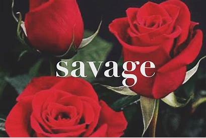 Savage Wallpapers Dope Pastel Background Words Goth