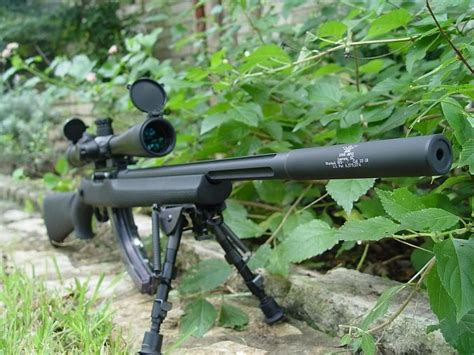 Clandestine Squirrel Sniping Chipmunk Plinking Supressed 22 Rifle