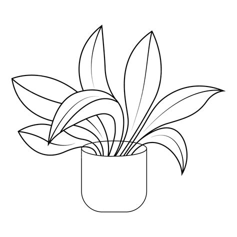Indoor Plant Potted Plants Vector Line Art Plant Drawing Plants