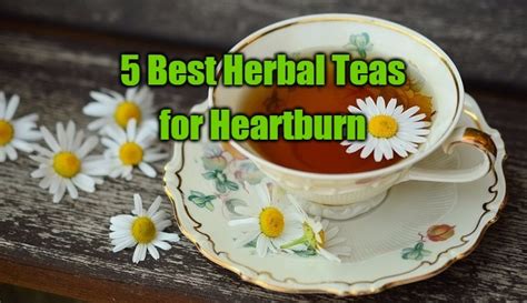 5 Best Herbal Teas For Heartburn