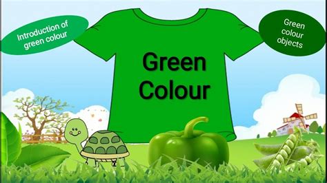 Green Colour Objects Introduction Of Green Colour 🌿👕📗 Youtube
