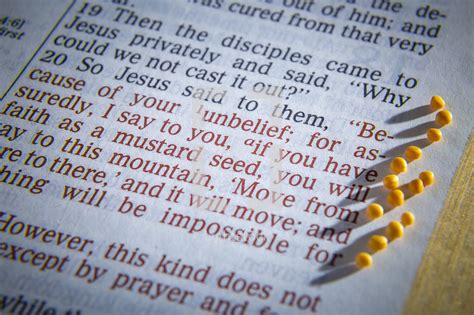 Mustard Seed Parable Text On The Pages Of A Bible — Photo