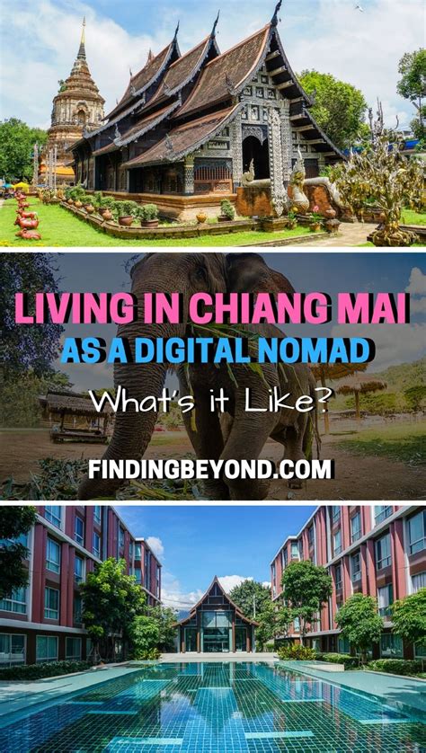 Find Out What It S Like To Be Living In Chiang Mai As A Digital Nomad By Reading Our Interview