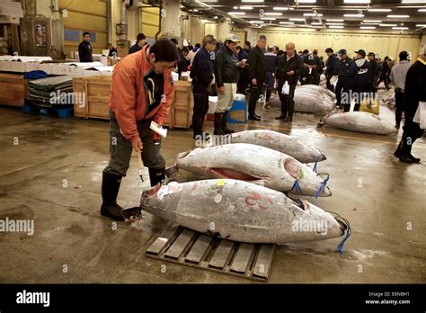 Tuna Auction At Tsukiji Fish Market Tokyo Japan Asia The Largest