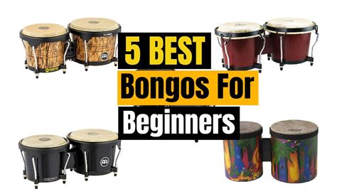 5 Best Bongos For Beginners In 2022 Guide And Reviews Youtube