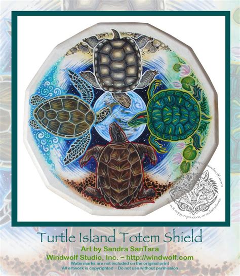 Turttle Totem Turtle Art Turtle Love Animal Totems