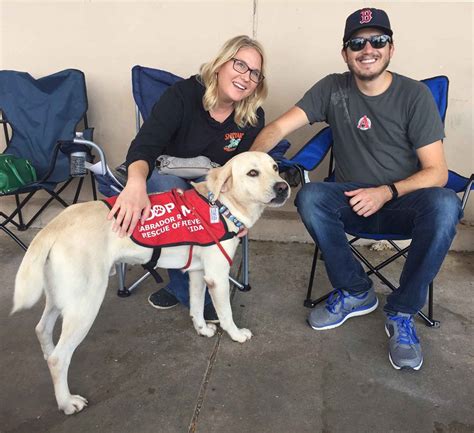 Petsmart introduces clyde, the adorable puppy who just found a new forever home. Countryside Petsmart Adoption Day - Labrador Retriever ...