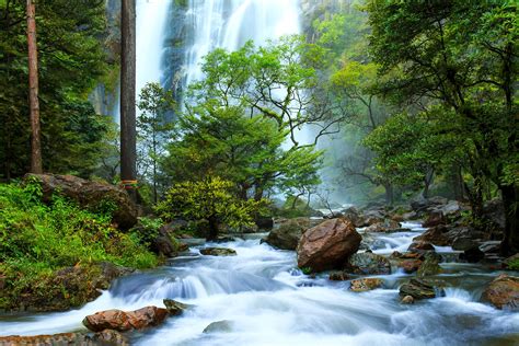 Forest Water Stream Wallpapers 66 Wallpapers Wallpapers 4k