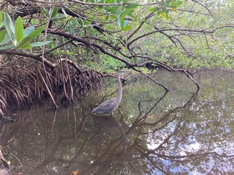 Round Island Beach Park Vero Beach 2021 All You Need To Know Before