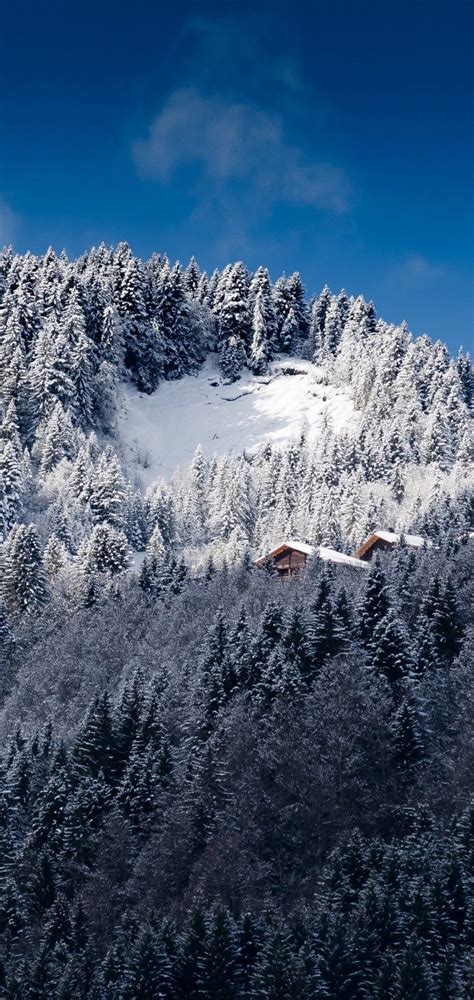 Alps Mountains Snow Trees Wallpaper 1440x3040