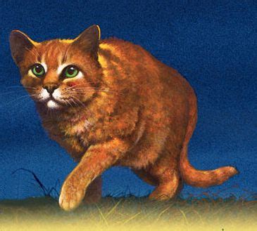 Trying to emphasize individual characteristics. Image - Firestar.jpg - Warrior Cats Wiki