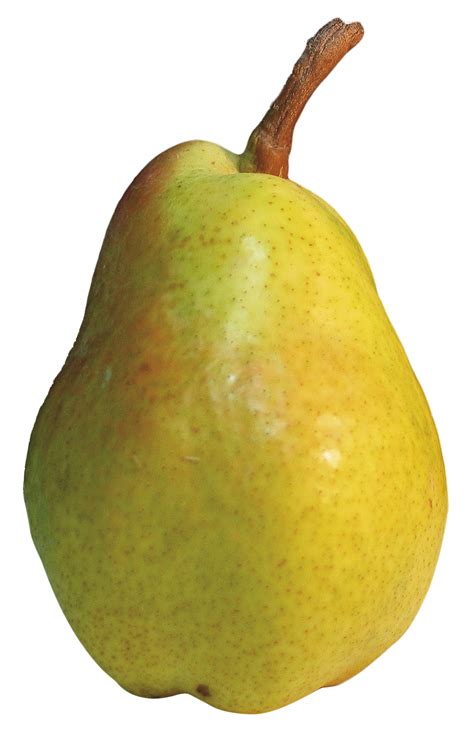 Collection Of Pear Png Pluspng
