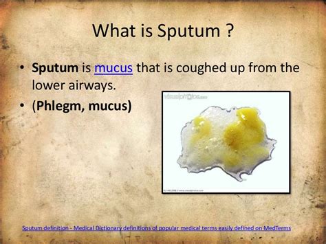 Use Of Sputum Sample For Diagnosis Of Disease Interpretation Treatm