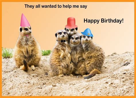 Pin By Luboslava Uram On Bd Wishes Happy Birthday Animals Funny