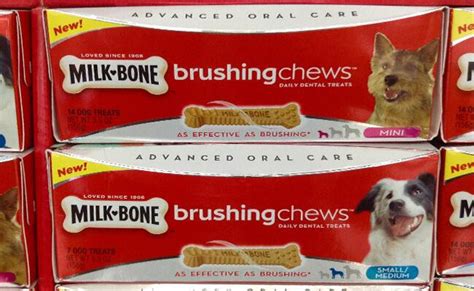 Apart from the apparent symptoms like diarrhea, vomiting, constipation, and bloating, you may also notice changes in your dog's usual behavior. Top 5 Dental Chews For Dogs - Missed By Dog Owners - Petmoo