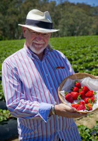 Picking strawberries at Beerenberg Family Farm - Food Wine Travel