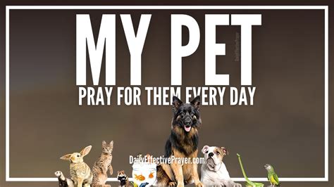 Prayer For Pets Prayers For Animals Dogs Cats Horses Etc Youtube