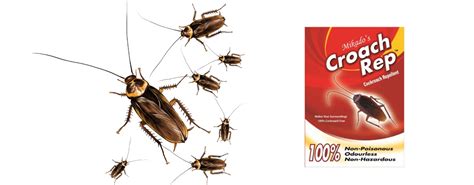 Are plug in pest repellers safe for dogs? Mikado's Organic Pest Repellents India - 100% Non ...