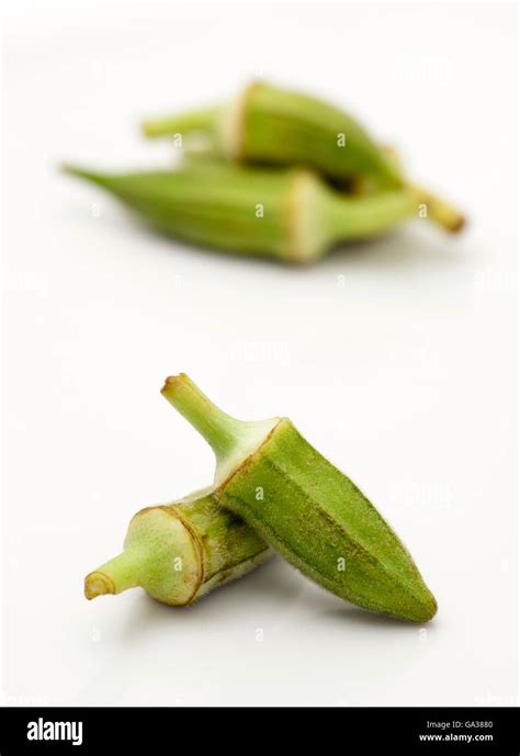 Okra Seeds High Resolution Stock Photography And Images Alamy