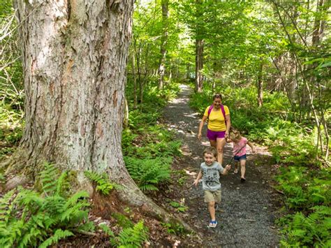 25 randonnées pédestres à faire cet automne au Québec