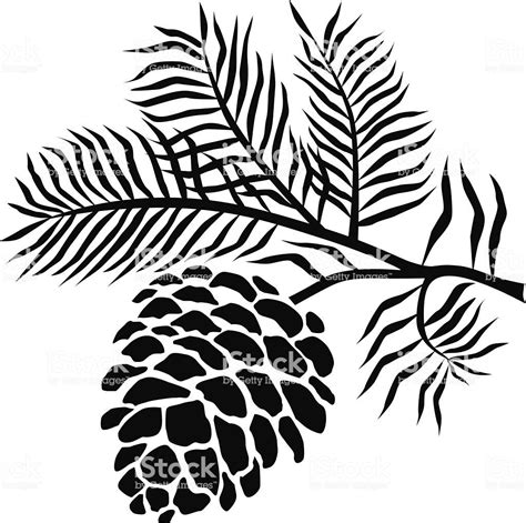 A vector illustration of pinecone on branch in black and white. An... | Pinecone drawing ...