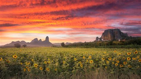 Wallpaper Nature Landscape Mountains Trees Field Clouds Sunset