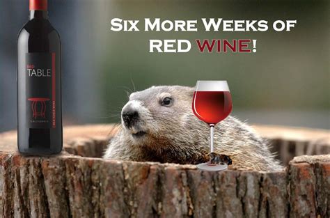 Groundhog Day Six More Weeks Of Red Wine Groundhog Day Happy Groundhog Day Groundhog