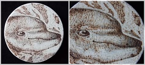 Dolphin Pyrography By Felinemyth On Deviantart