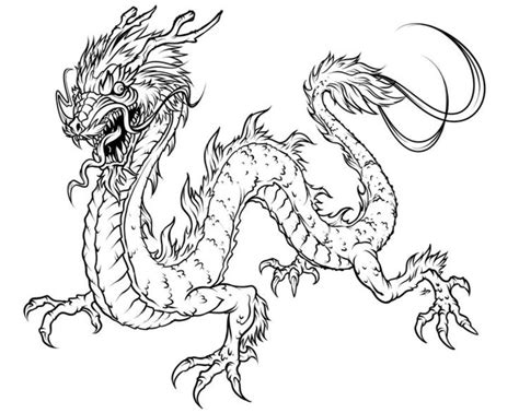 Drachen malvorlagen zum ausdrucken coloring and malvorlagan. Drachen Ausmalbilder für Erwachsene kostenlos zum Ausdrucken 1