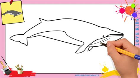 Dessin Baleine Facile Comment Dessiner Une Baleine Facilement Etape
