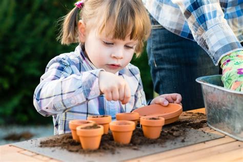 Growing Kits For Children Kids Do Gardening