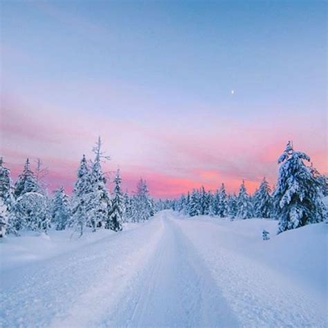 Discover Lapland A Magnificent Nordic Region Between Land And Ice