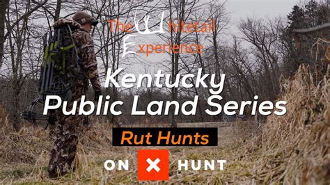 Hunting The Rut On A New Piece Of Public Land Kentucky Public Land