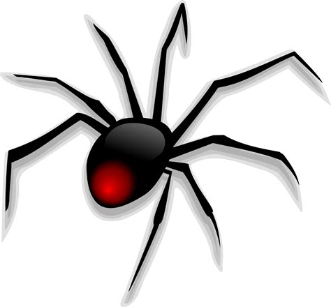 Free Cartoon Spiders Download Free Cartoon Spiders Png Images Free Cliparts On Clipart Library