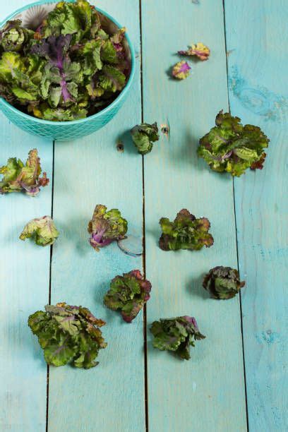 Add lemon juice and toss to coat. brussels sprouts flowers | Brussel sprouts, Sprouts, Brussel