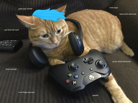 Cat memes are always in style. dantdm on an xbox one playing fortnite? | Cats, Cute, Cute ...