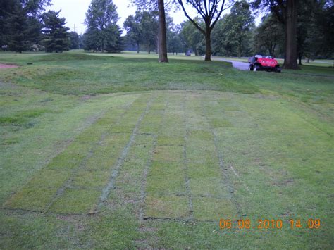 I wrote this article about zoysia grass and sent it to my newsletter list. Glen Echo Country Club Golf Course Management: Zoysia tee repair