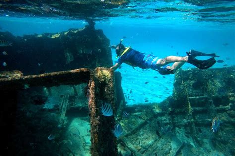 Cancun Snorkeling Tour Swim With Turtles Reef Underwater Museum And