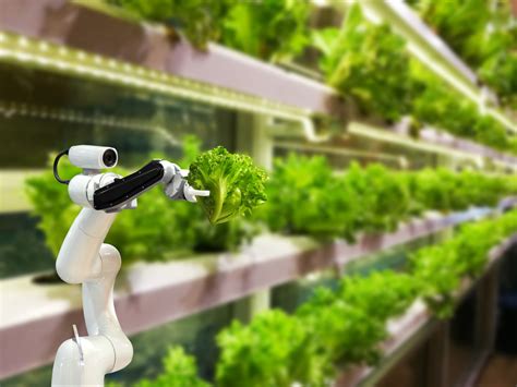 The Second Generation Of Vertical Farming Is Approaching Heres Why It