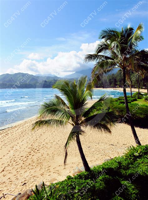 Kauai Beach Photo Virtual Sets Green Screen And