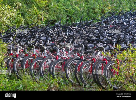 Bicycle Stall In Hilton Head Island South Carolina Usa Stock Photo