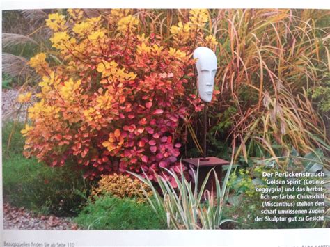 Sie können die kündigung jedoch auch automatisch als brief und optional als brief mit einschreiben verschicken. Mein schöner Garten 11/2016 | Garten, Pflanzen, Gartenhaus