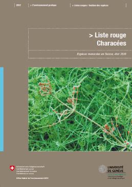 Elle remplace ainsi la liste rouge. Liste rouge Characées