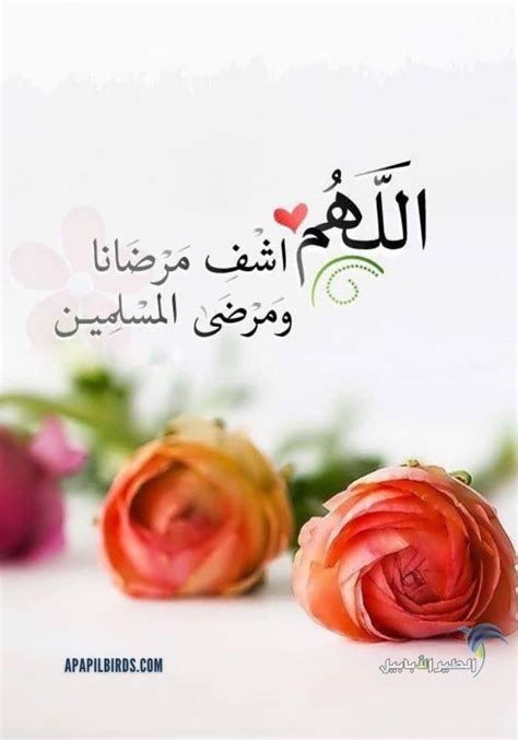 دعاء مستجاب » اجمل الادعيه المستجابه افضل دينيه اسلاميه » دعاء ظلم اليتيم. اروع دعاء اللهم اشفي مرضانا ومرضى المسلمين مكتوب وبالصور ...