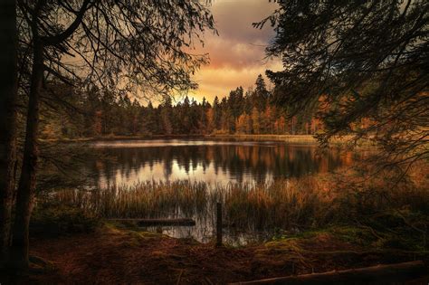 Forest Lake Landscape Wallpaper Hd Nature 4k Wallpapers Images