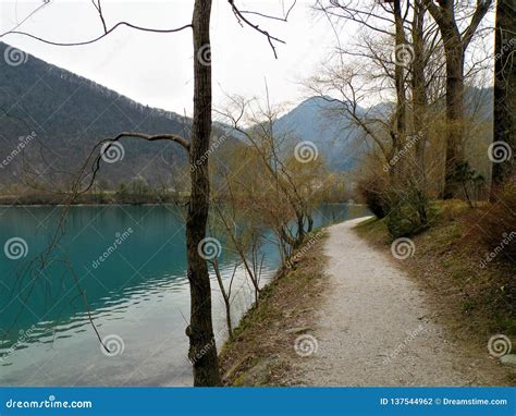 Mountain Lake With Turquoise Blue Water And Old Tree Stock Photo