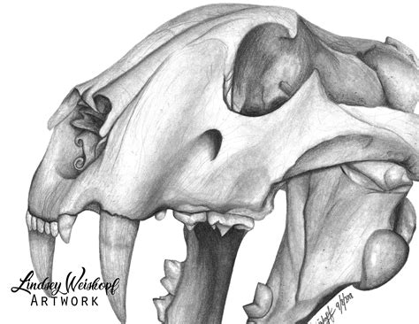 Print Pencil Drawing Tiger Skull Drawing Illustration Etsy Ireland