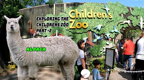 Exploring The Childrens Zoo Part 2 Bronx Zoo Youtube
