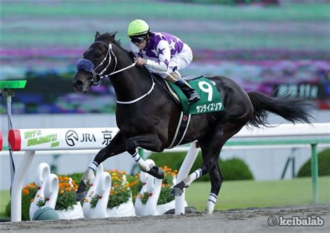 ※ グラフの右上に表示された時点までの累計を表示しています。 随時更新しています。 ※ 自治体が過去の数値を修正することがあります。 平安ステークスの過去10年データ、好走馬一覧（2018年5月19日 ...